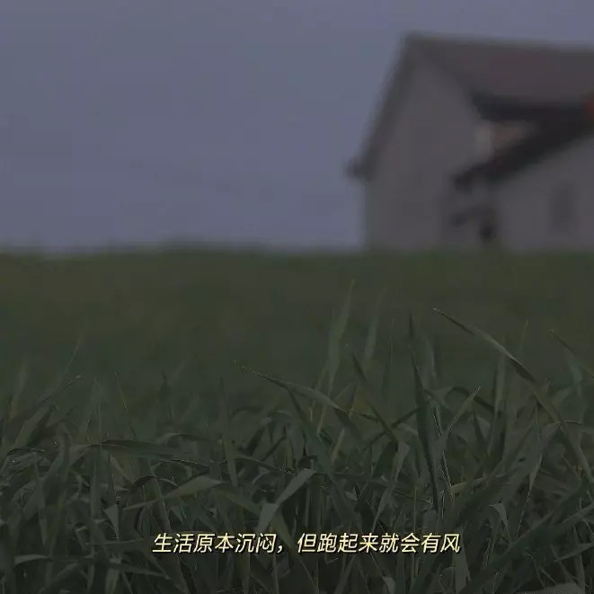 关于YuanDan🎉