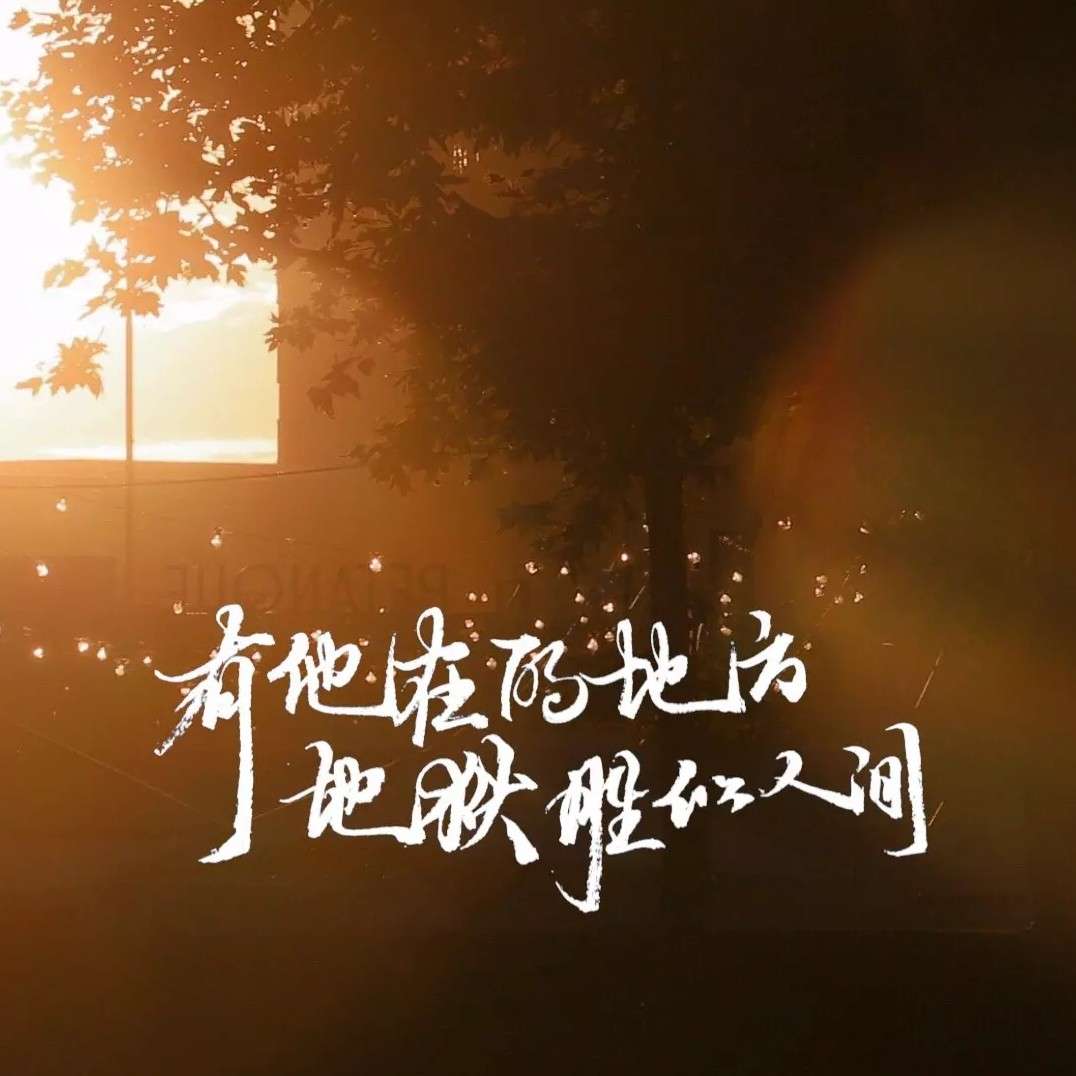 我的满天星辰