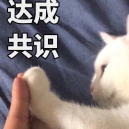 定义