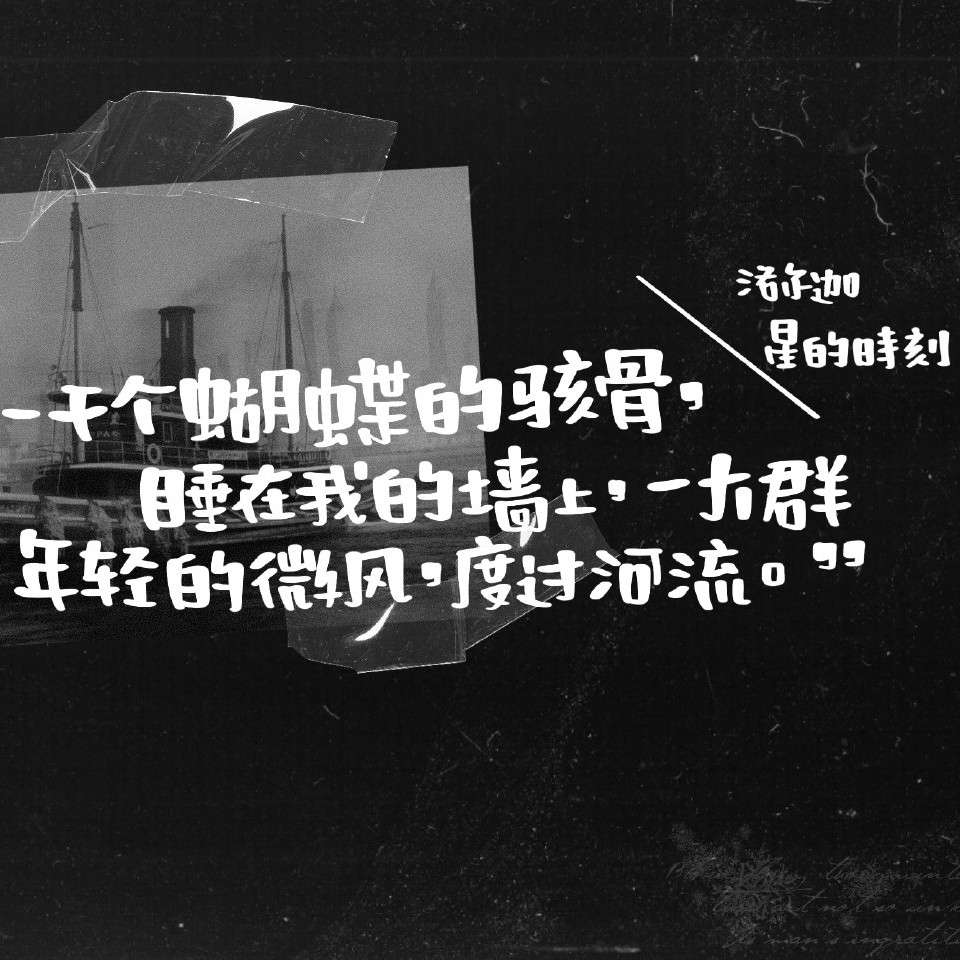 我喜欢的句子