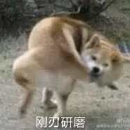 游戏