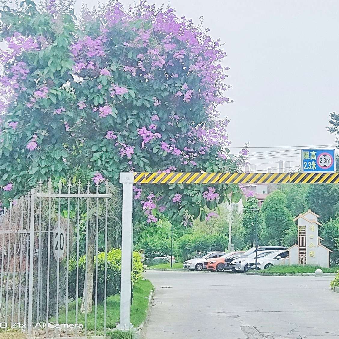 夏天
