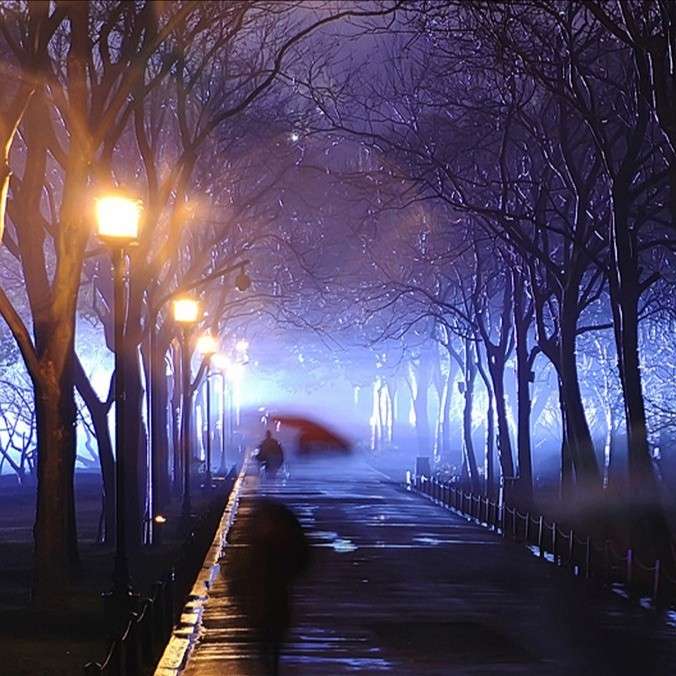 朝花夕拾