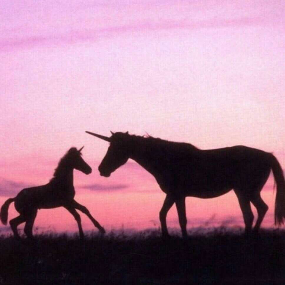 随记