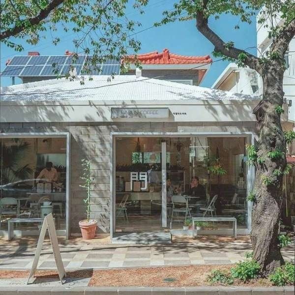 忆槐序的小屋.