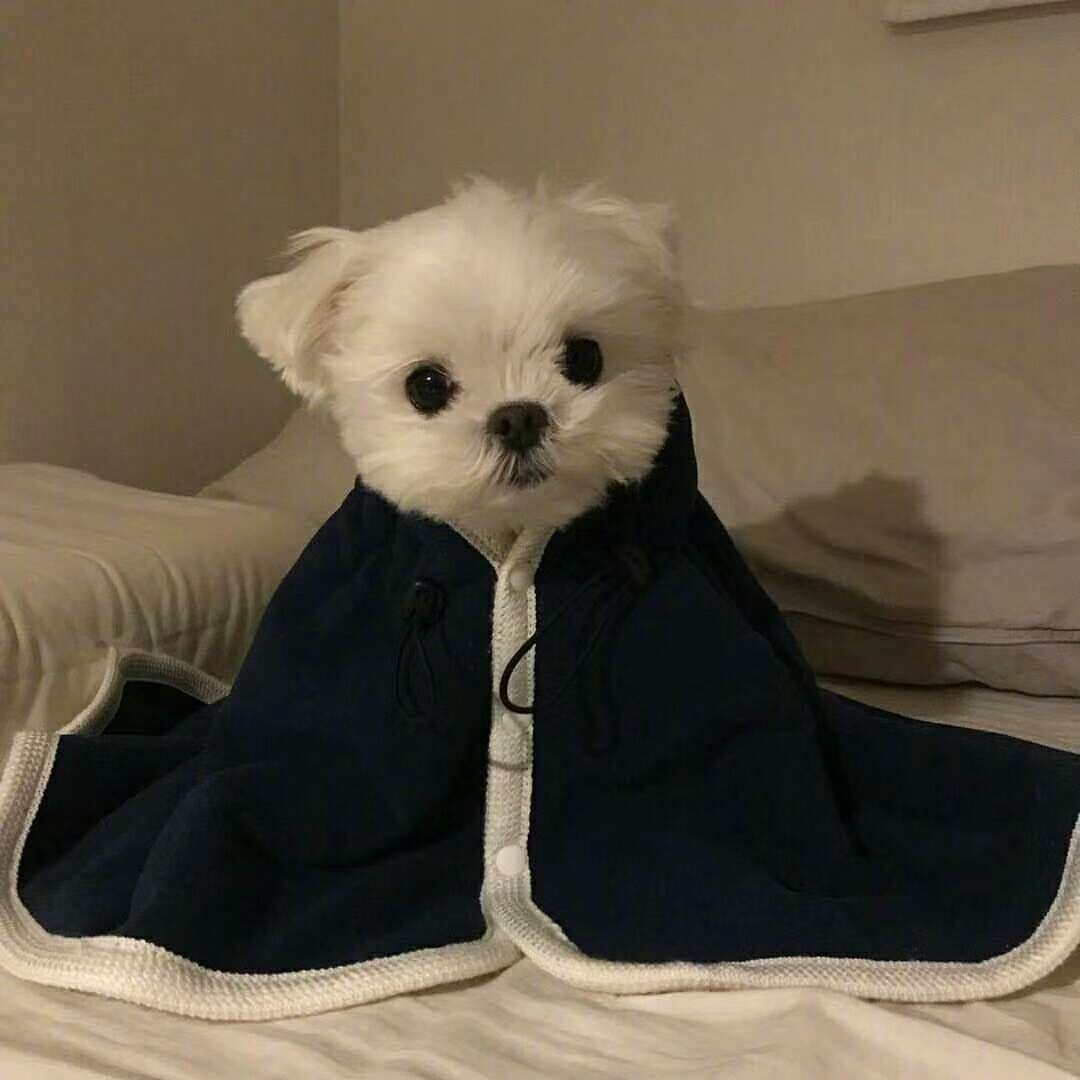 文艺