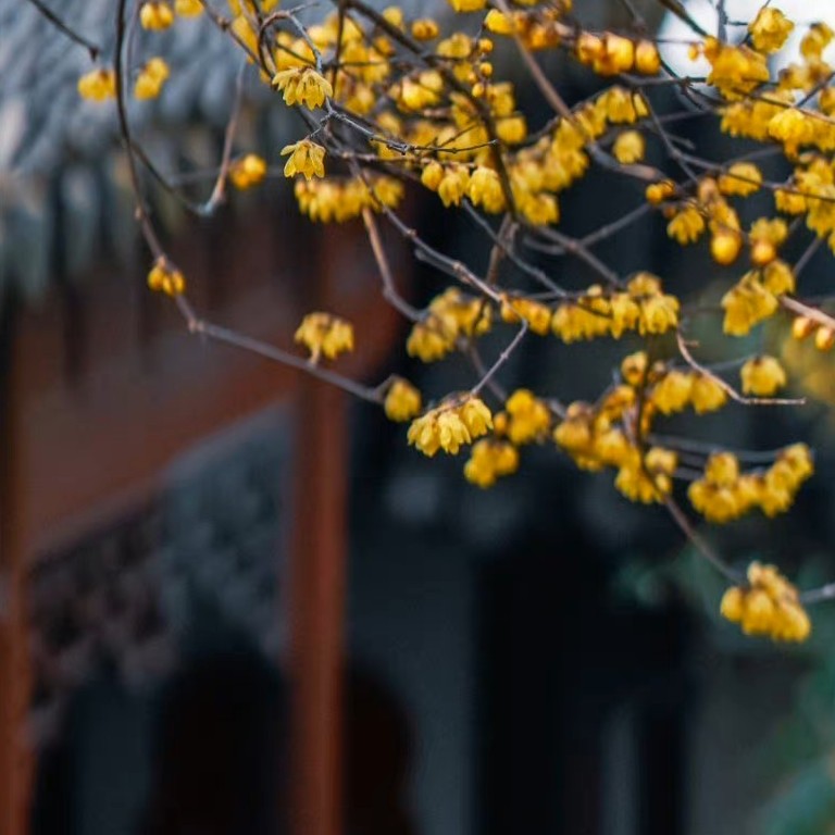 心悦