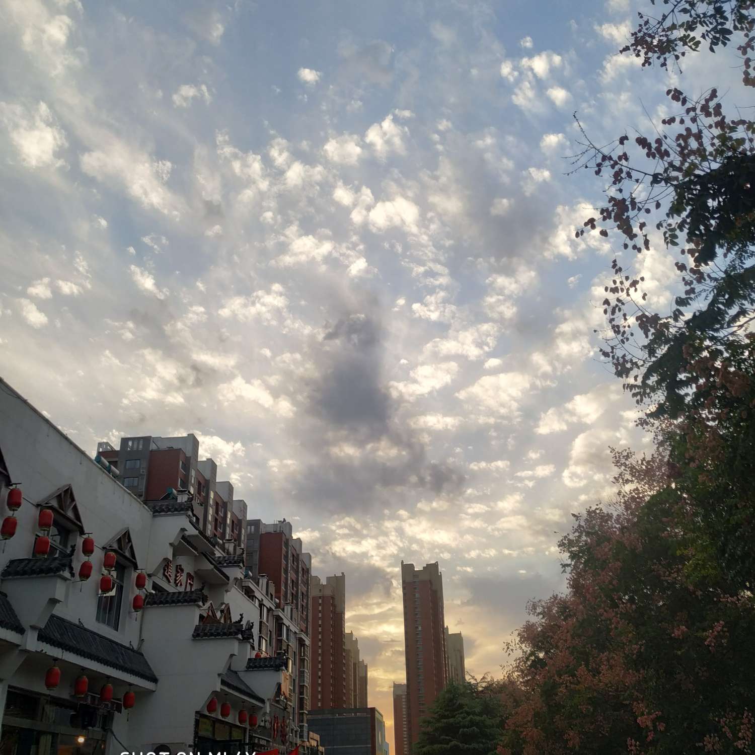 小说唯美语录