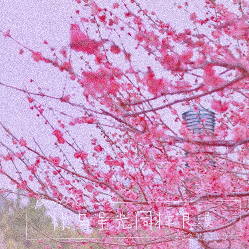 唯美