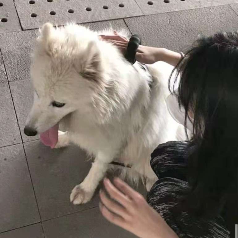 西南的专辑