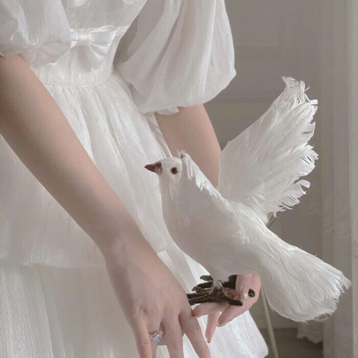 ○