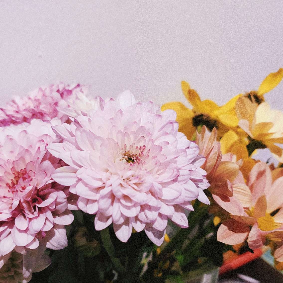 花自成花 树自成树