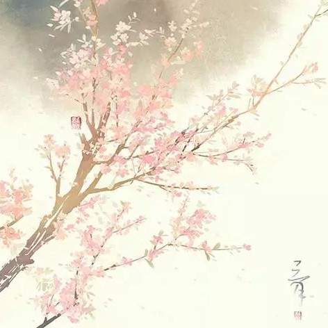 落的专辑