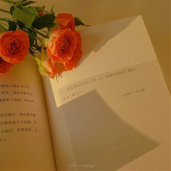 书中自有黄金屋