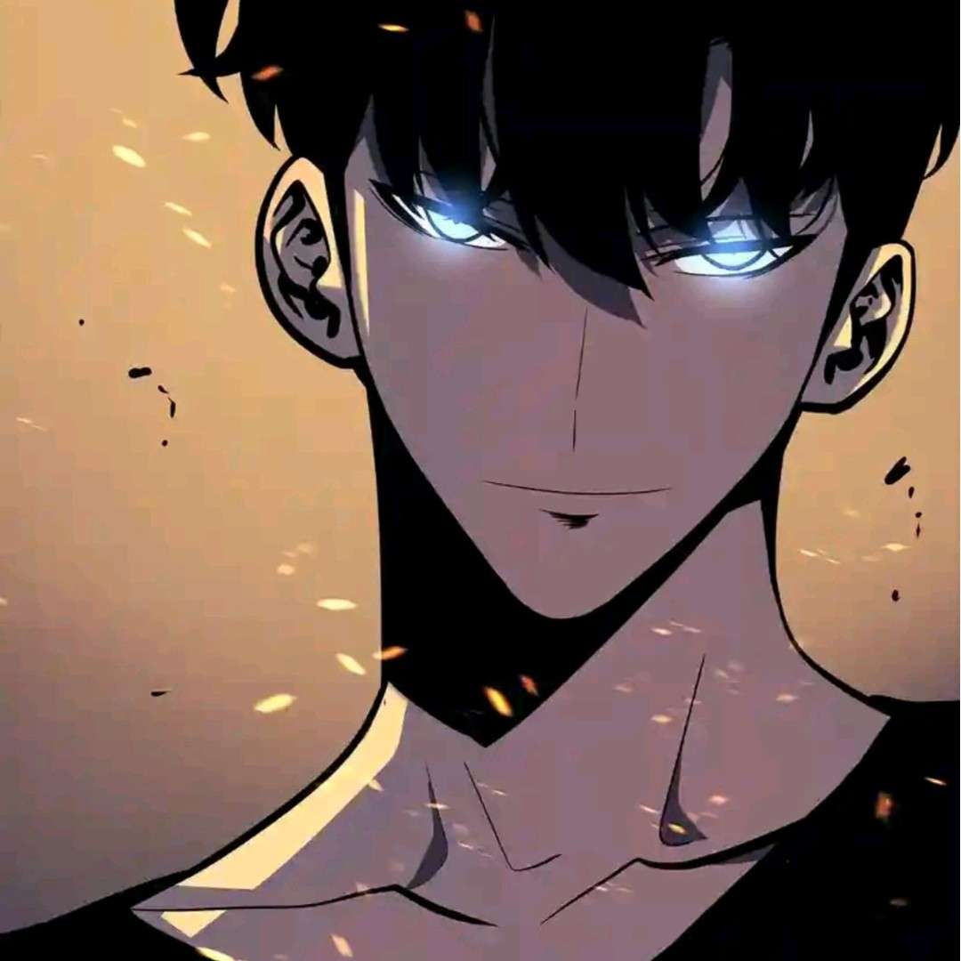 我独自升级
