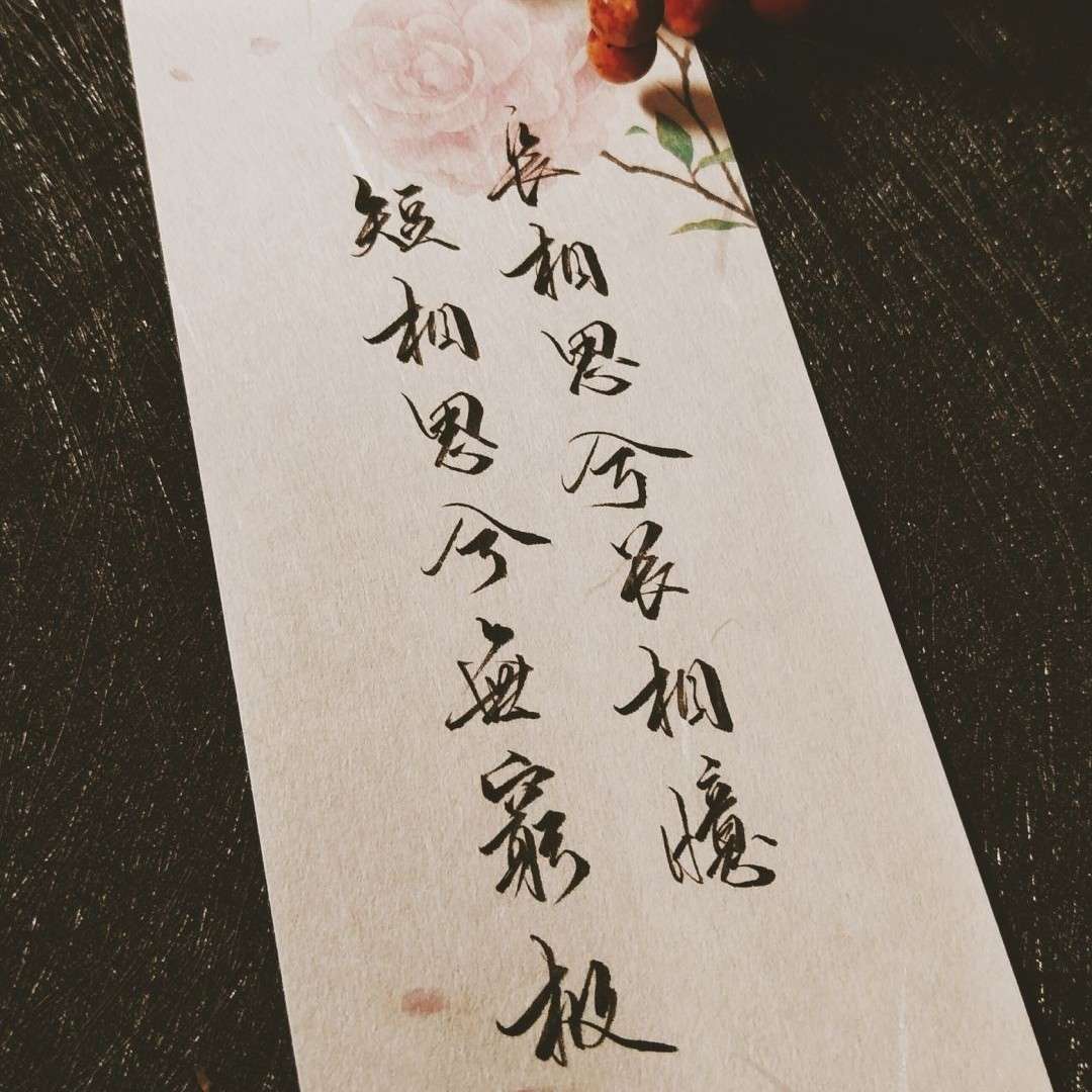 书摘
