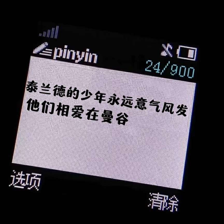 他泰