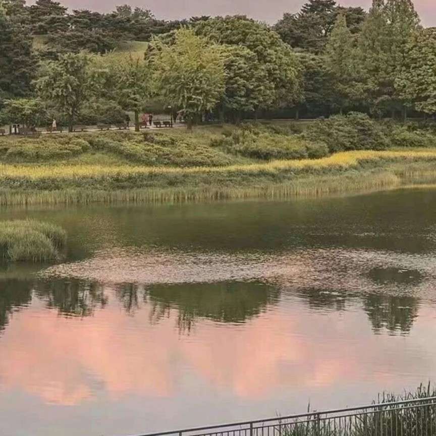好句