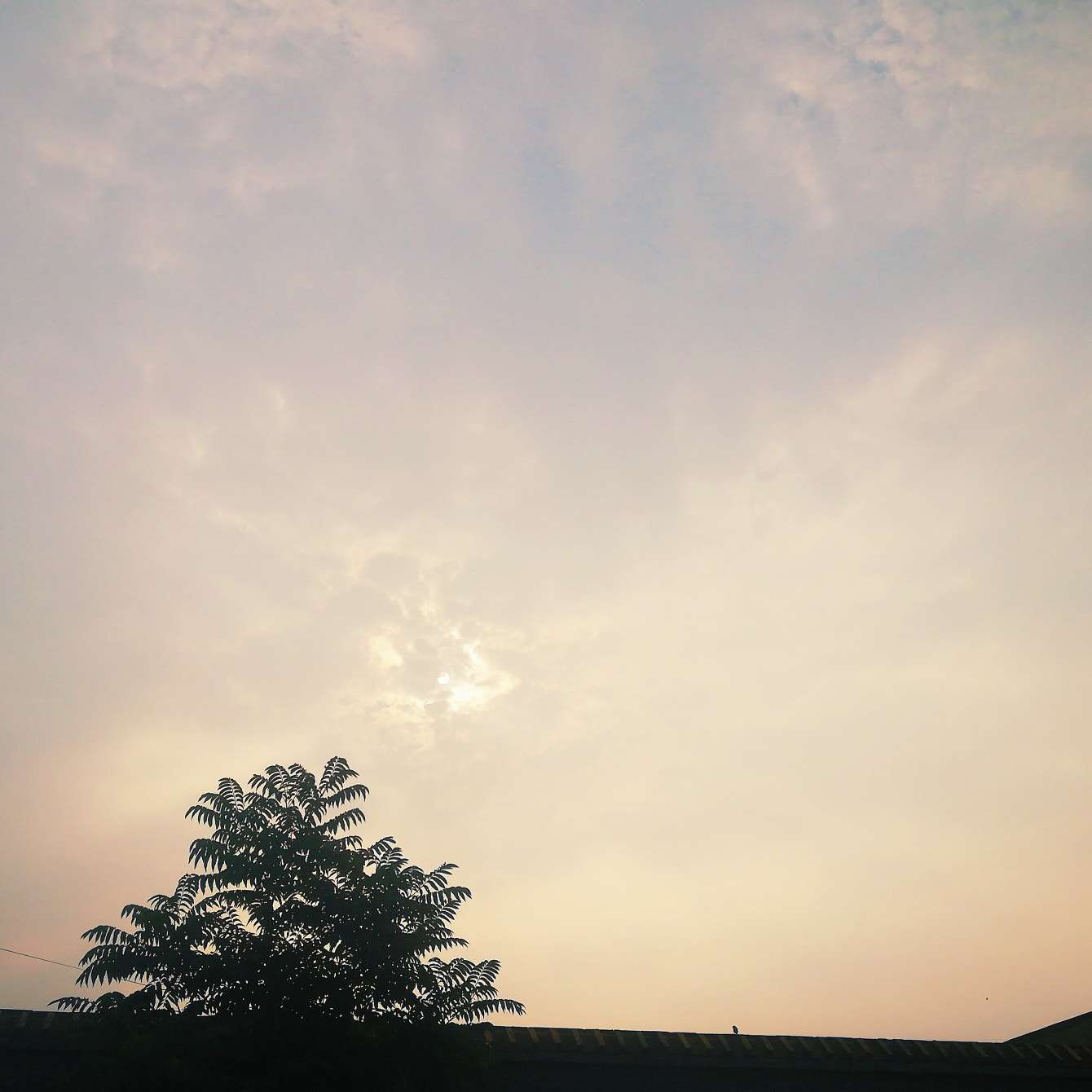 明天
