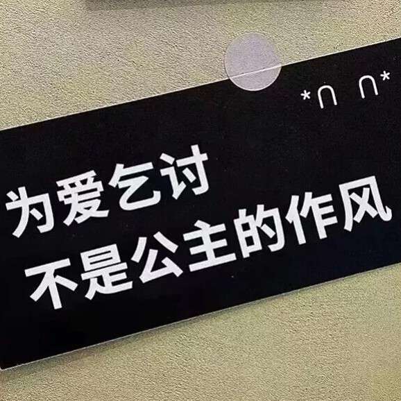 绿茶必备