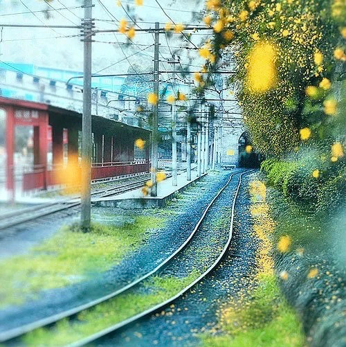 风花雪月