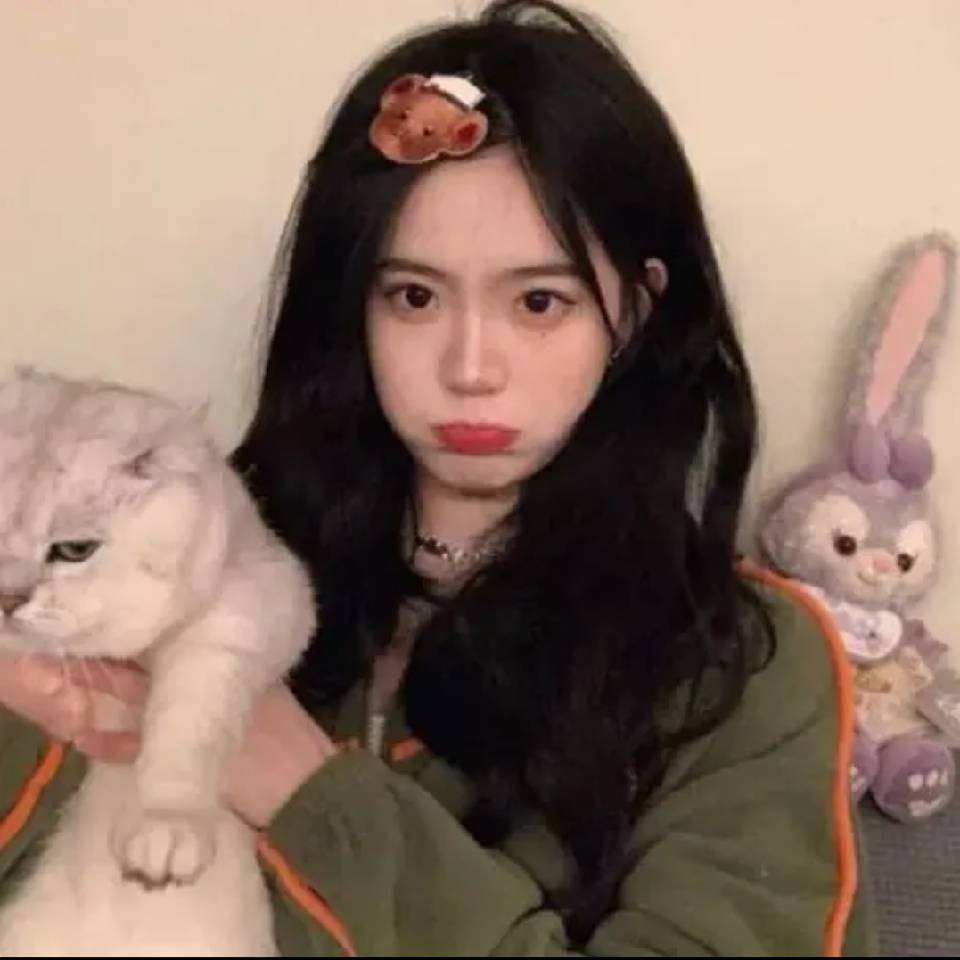 电视剧