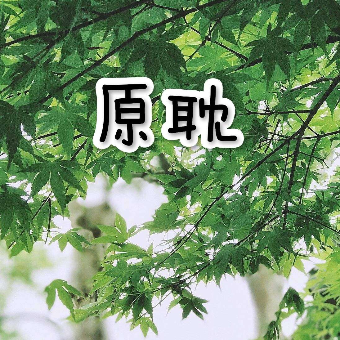 小说精美句子（优）