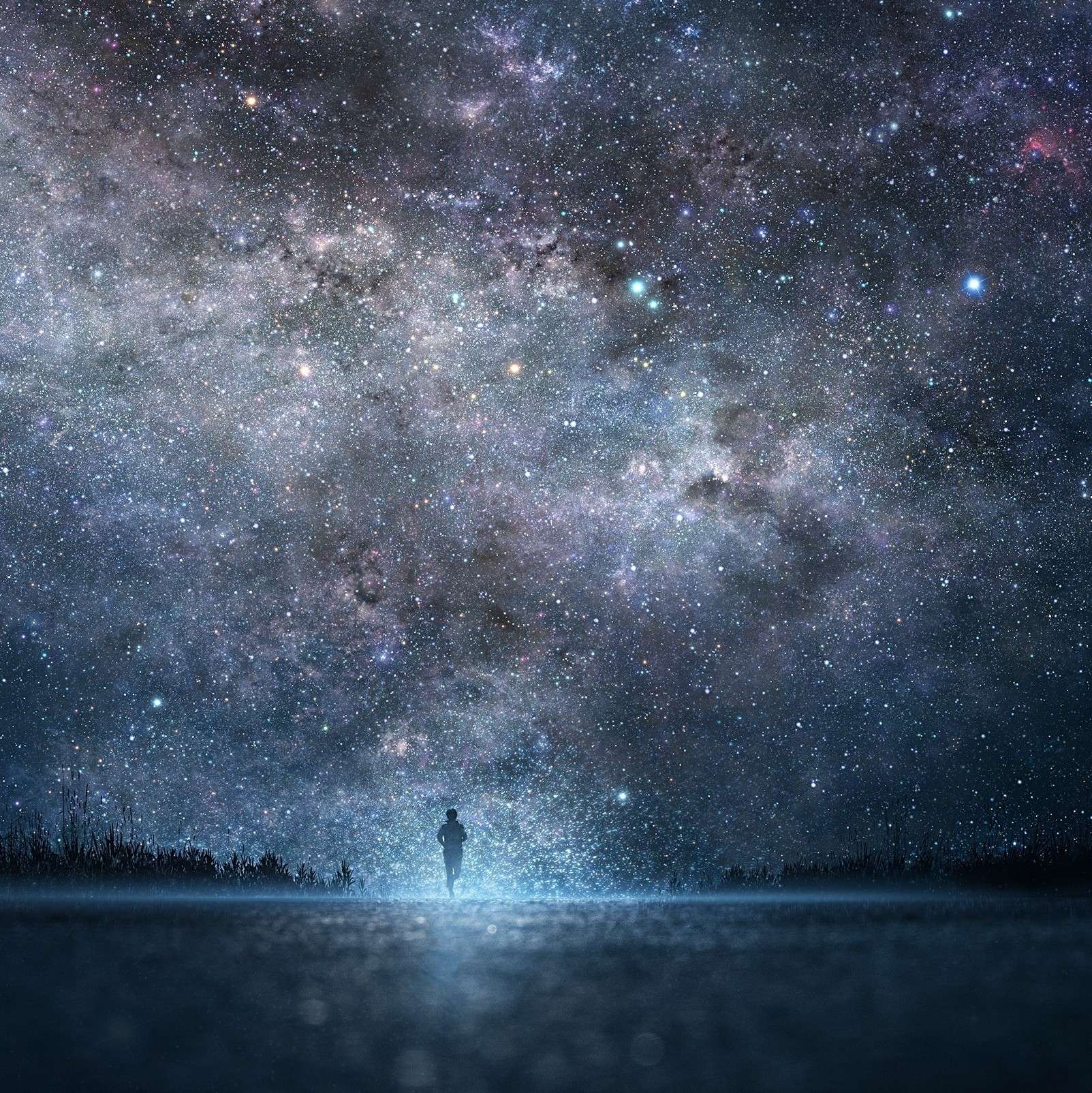 星海
