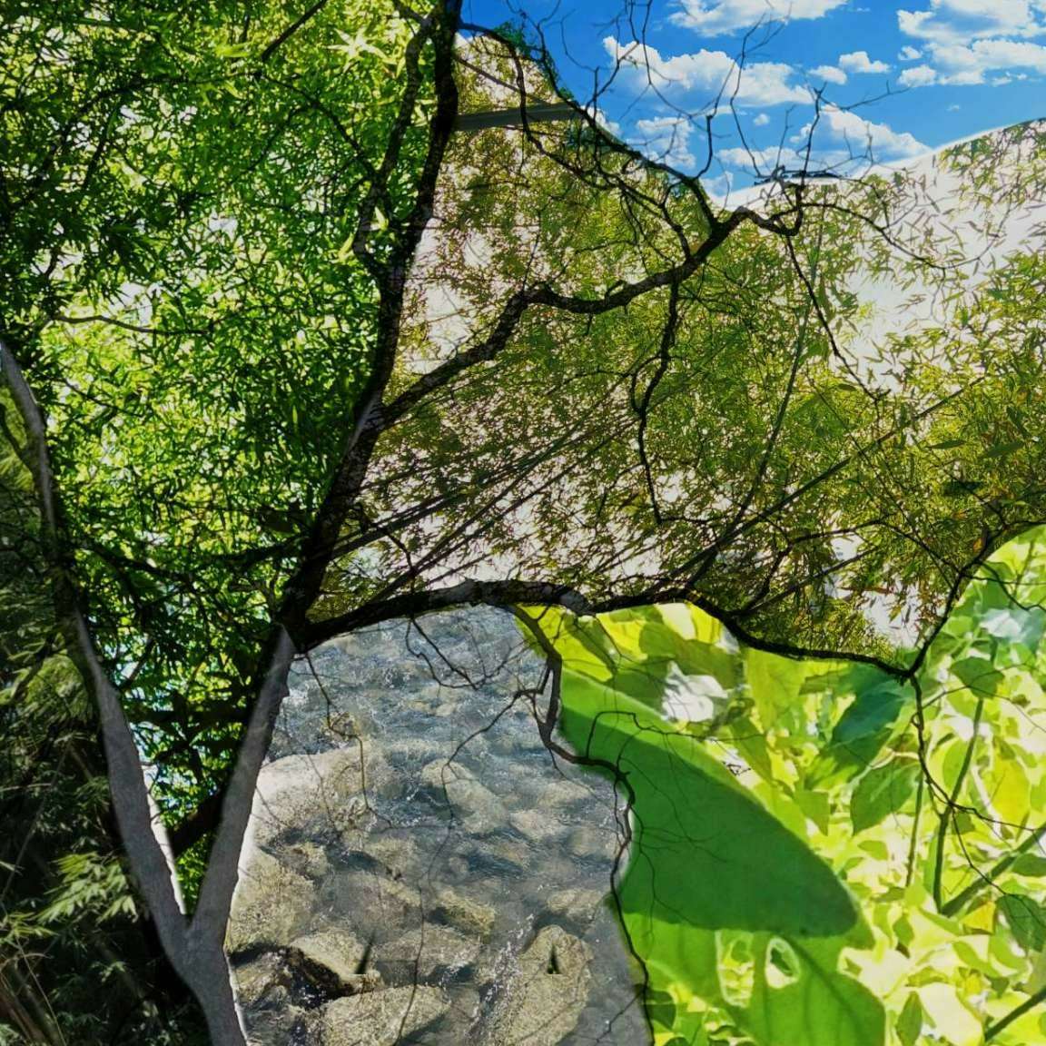 青春文学