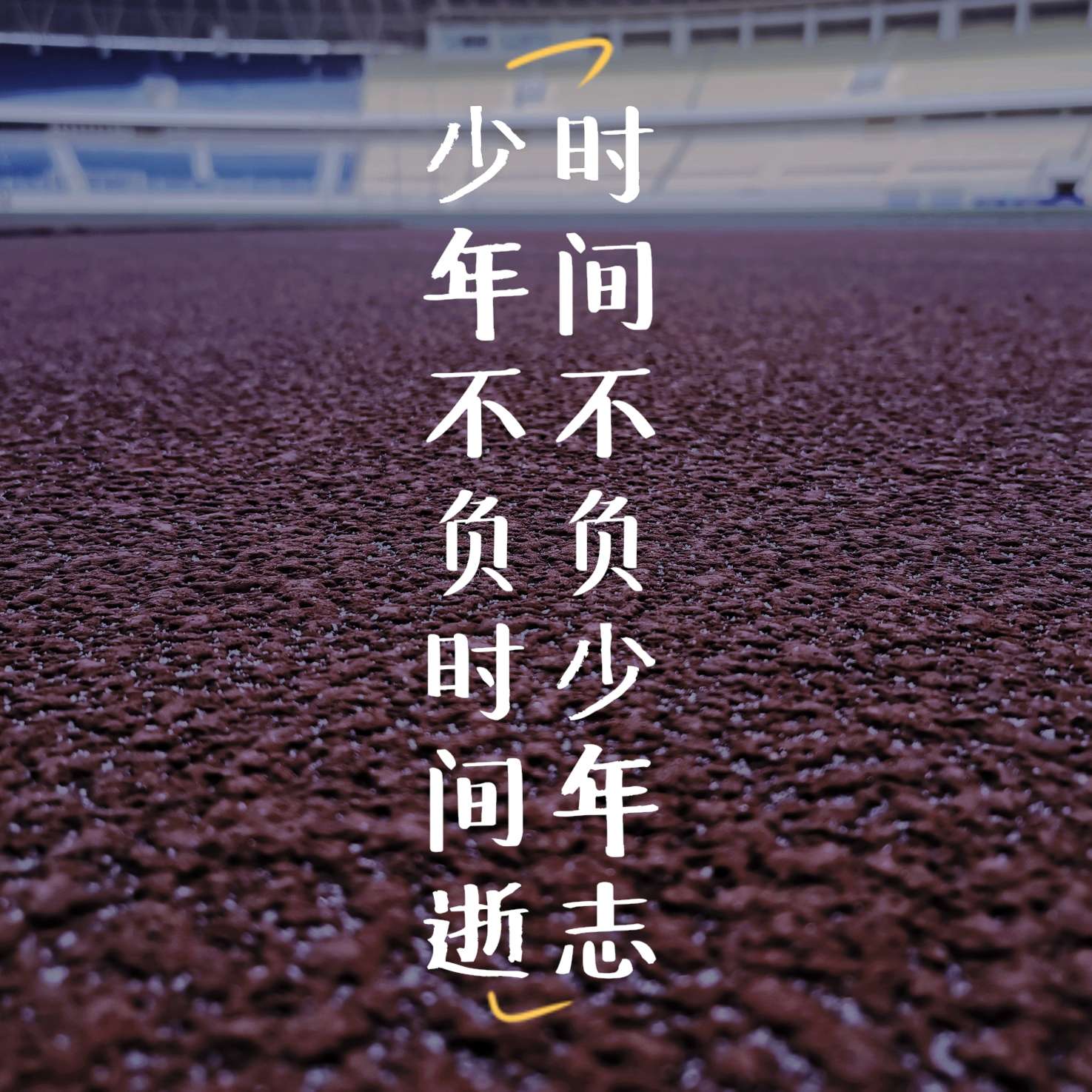Xin語
