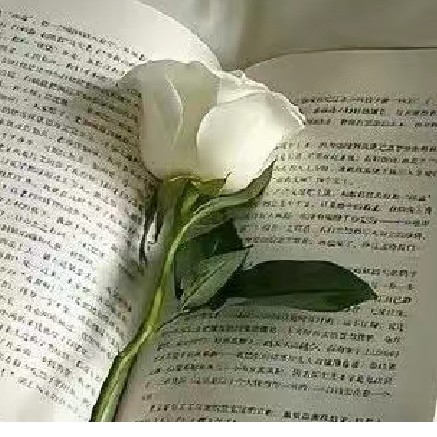 有感