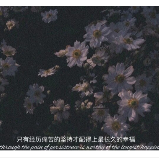 🌟.