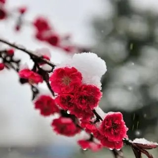 我喜欢的