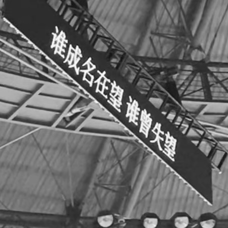 TF家族三代