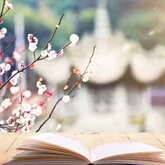 句子控
