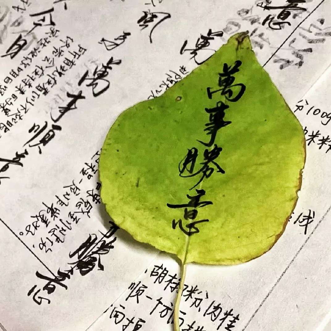 万事胜意.