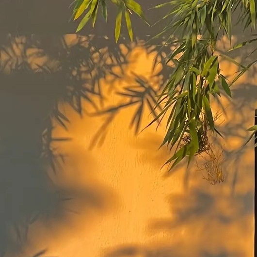 清梦