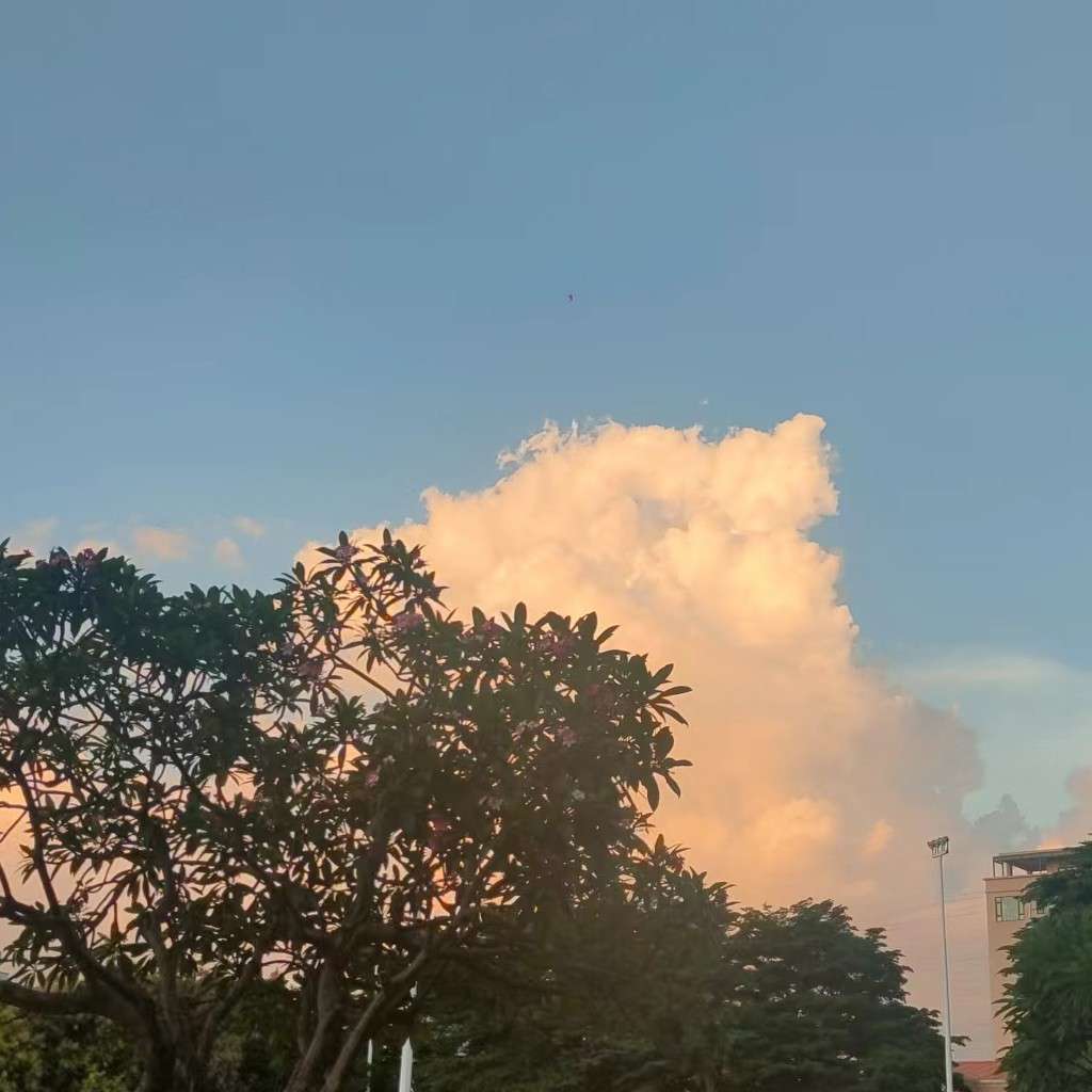 茉雨枝枝的专辑