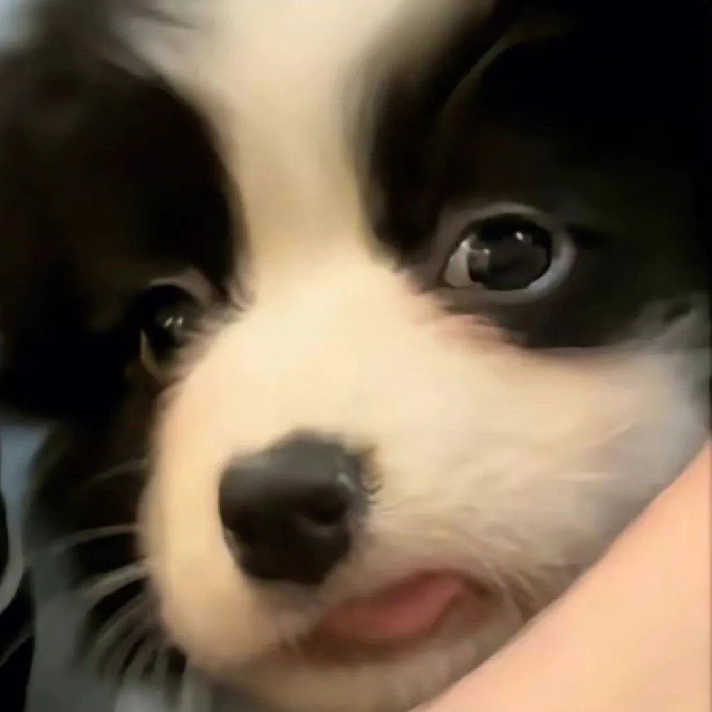 舟