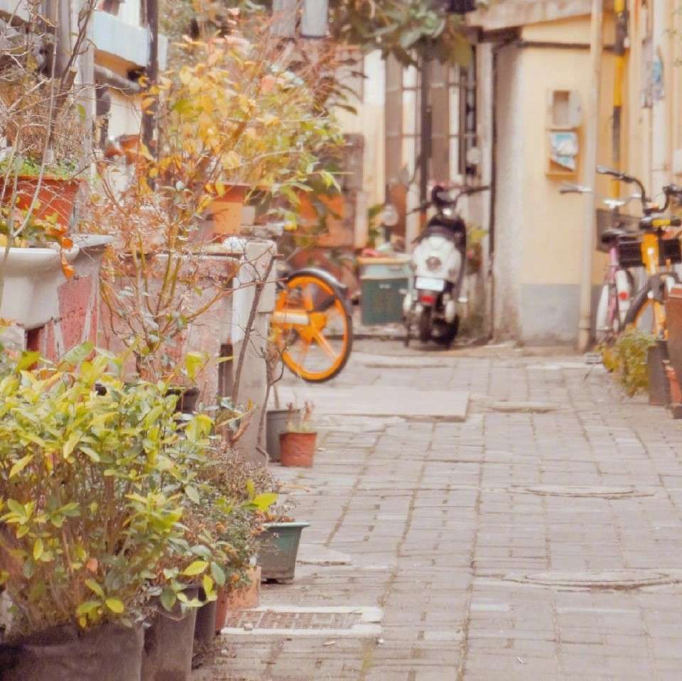 岁月静好