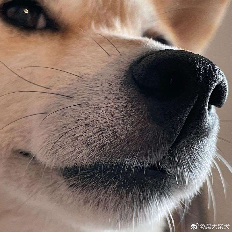 远山