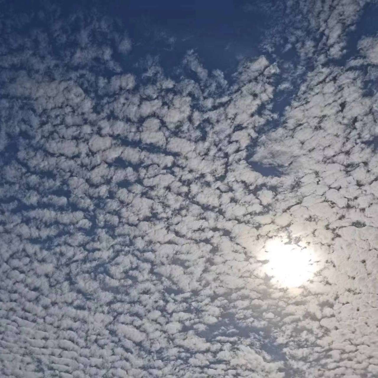 我的专辑