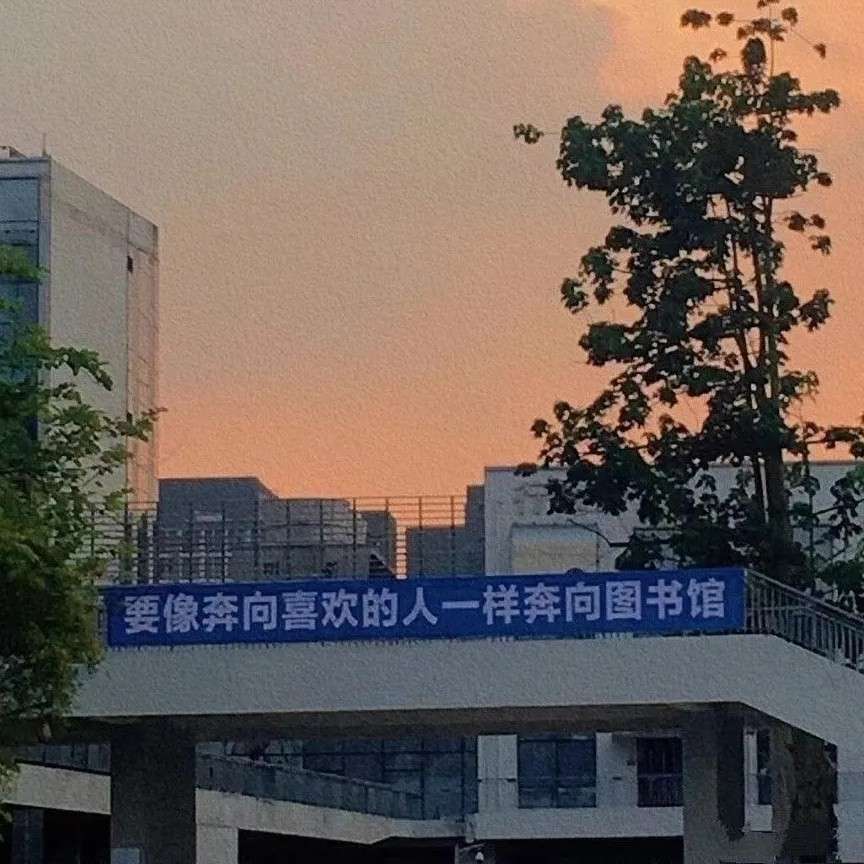 收藏