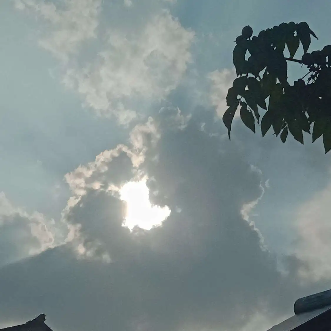 有点浪漫