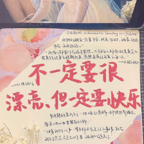 碎岁念年．