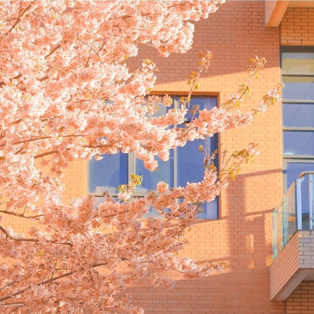 ૮₍ ˶•ᴗ•˶₎ა
