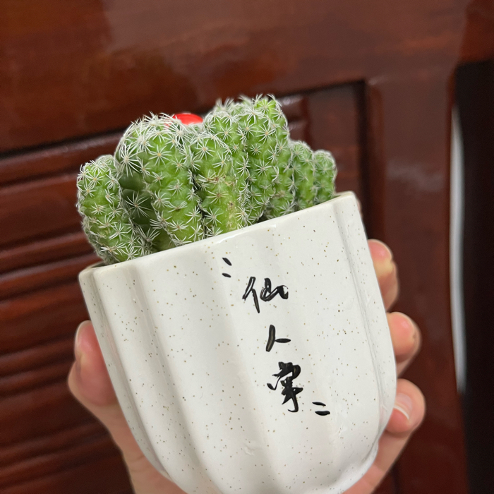 搞怪