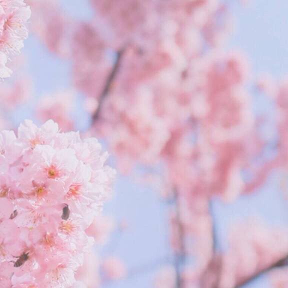 世