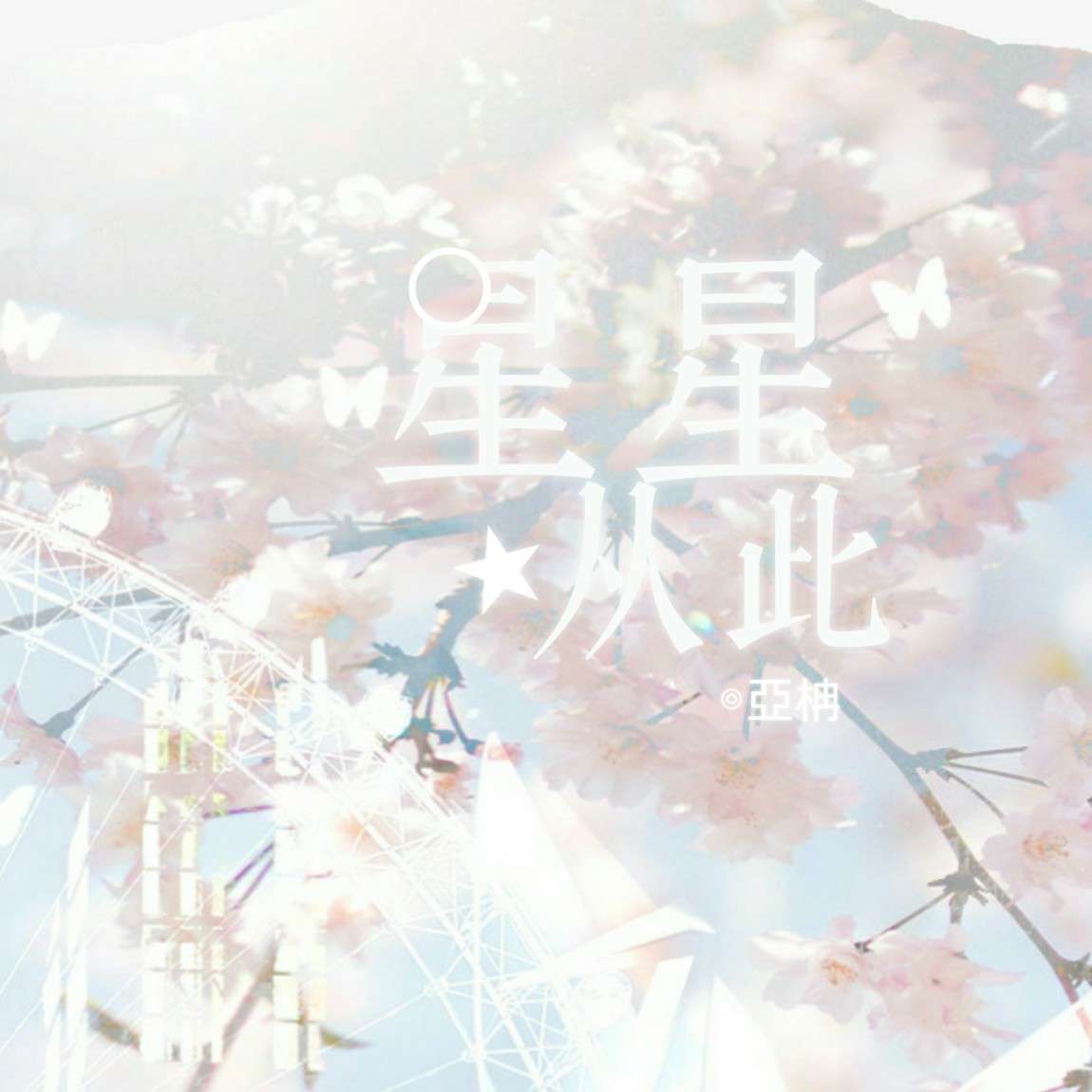 《星星从此》