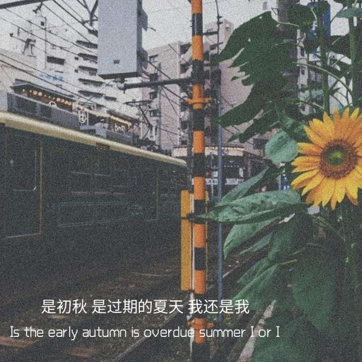 2021.3.6～6